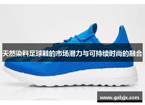 天然染料足球鞋的市场潜力与可持续时尚的融合